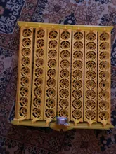 Incubation-Equipment Poultry-Incubator Turn-Tray Chickens-Ducks Automatically-Turn-Eggs