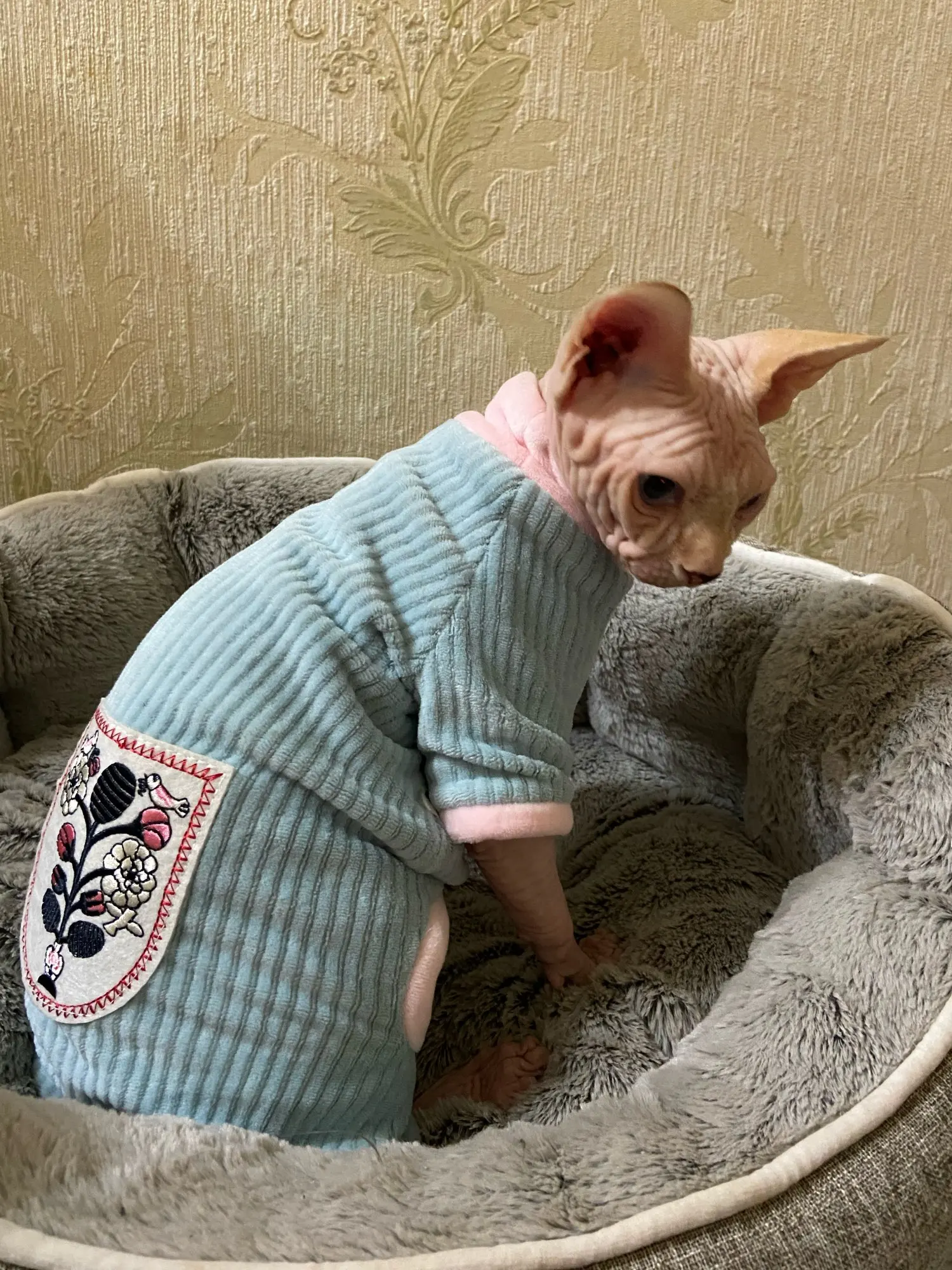 猫服冬暖かいソフト猫コットンパーカージャンパースフィンクス猫衣装プルオーバースフィンクス子猫服猫用品猫 猫の服 Aliexpress