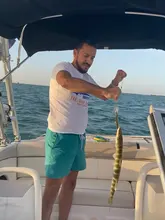 Big Crankbait Lures Wobbler Minnow Fishing-Tackle Artificial-Bait Bass-Trolling Peche