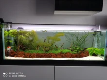 Chihiros A II Series Aquarium Freshwater Planted Tank LED Light A II 301- A II 1201