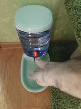 3.8L Pet Cat Automatic Feeders Large Capacity Cat Water Fountain Plastic Dog Water Bottle