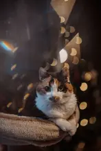 Prism-Lamp Chandelier-Decor Cut-Glass-Pendant CRYSTAL Diy Suncatcher Faceted Diamond