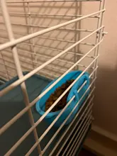 Hamster Bowl Rabbit-Feeder Watering-Supplies Pet-Cage Hanging-Drink Feeding Small Cup