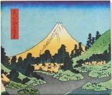 

New wallet in Tyvek for money and cards nw-097