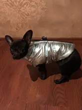 Coat Jacket Vest Bulldog-Clothing Puppy Dogs-Chihuahua French Waterproof Large Winter