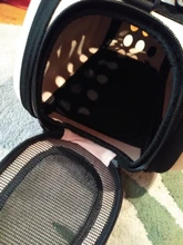 Necklace Collier Reflective-Collar Dogs Pitbull Chien Padded Nylon Adjustable Outdoor