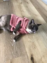 Ropa de Gato caliente para mascotas, abrigo, chaqueta para perros pequeños, medianos, gatos, Chihuahua, ropa de Yorkshire, disfraz rosa, S-2XL