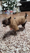 Pet-Dog-Clothes Clothing Coat Jacket Outfit Pets-Puppy-Costume French Bulldog Small Dogs