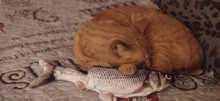 Fish-Toys Simulation Biting-Supplies Electric Playing Dog-Cat-Chewing 30CM for Pet-Cat-Toy