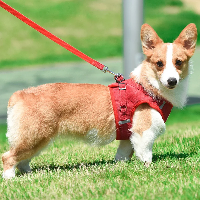 Arnés ajustable para perros y gatos, chaleco reflectante y transpirable para mascotas pequeñas y medianas, para exteriores