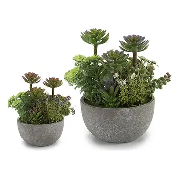 

Decorative Plant Ibergarden (16 x 23 x 19 cm)
