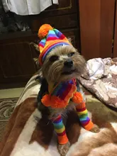 Pet-Puppy-Accessories Socks Hats Cat-Products Dogs-Knitted Small Chihuahua Little Winter