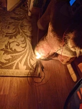 WY21W Auto-Lamp Car-Brake-Reverse-Light P21w Ba15s Turn-Signal W21/5W Led-Bulbs 3030