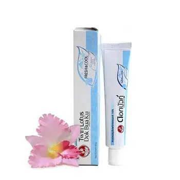 

Toothpaste Twin Lotus herbal fresh & cool (40g)