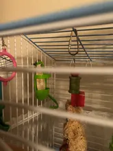 Parrot-Feeder Cage-Accessories Pet-Bird-Supplies Plastic Vegetable-Holder Food-Container