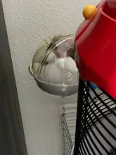 Cage-Box Toilet-Hamster Acrylic-House Sand-Room Bath Mouse-Gerbille Small Pet-Supplies