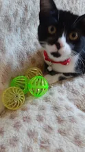5pcs/Set Funny Cat Ball Toy Hollow Training Cat Interactive Toy Cat Bell Toy For Kitten