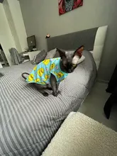 Ropa con estampado de patos para perros pequeños, Camiseta de algodón para cachorros y gatos, chaleco, camisas con perro Chihuahua