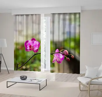 

Curtain Orchid Flower Close Up Photo with Blurred Background Nature Floral Art Pink Green