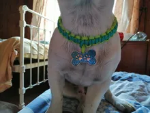 CAMPINGSKY-Cuerda de paracaídas Paracord 550 Mil Spec tipo III 7 hebras, cuerda para senderismo, tiendas de campaña, excursiones, camping, 100 pies, 200 colores