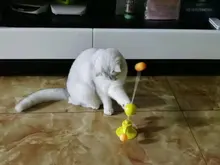 Cat-Stick Puzzle Pet-Windmill Teasing Pet-Supplies Interactive-Toy Training Catnip Funny