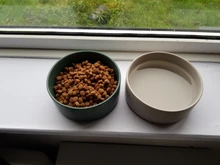 Bowl Feeder Water-Dispenser Dogs Ceramic for Puppy-Cat Eating Dishes Products -P007