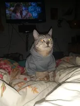 Cat Clothes Pet Cat Coats Jacket Hoodies For Cats Outfit Warm Pet Clothing Rabbit Animals