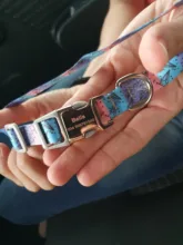 Dog-Collar Engraved Puppy-Name Floral Pet Personalized Airuidog Free Small Large Medium