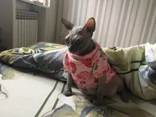 Rabbit Print Pet Cat Costume for Cats Soft Kedi Katten Sweatshirt Hoodie Spring Summer