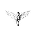 Project Pegasus Store