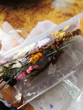 1 caja de hojas de flores prensadas reales, resina de margaritas secas, calcomanías de belleza para uñas, moldes de epoxi, embellecedores para fabricación de joyas