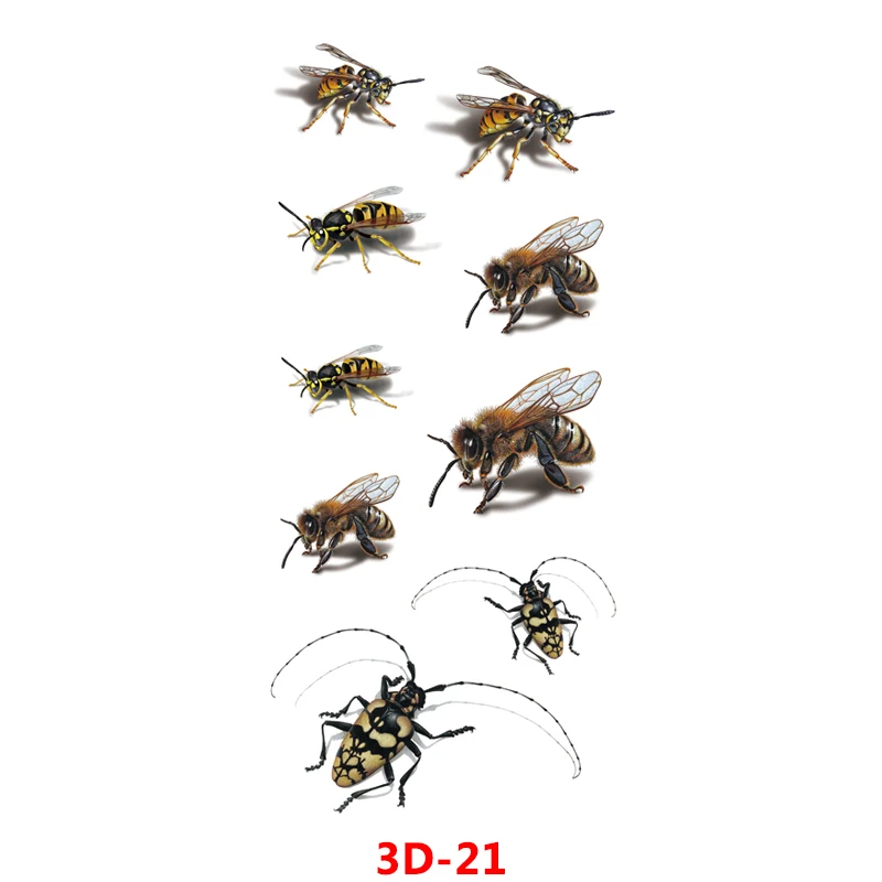 3D-21