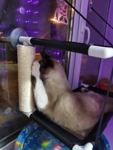Bearing Hammock Cat Balcony Climbing Waterproof Sleeping-Mattress Cat-Bed-Cat Pet Fabric