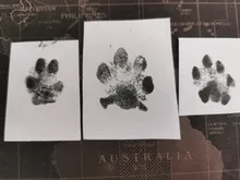 Impresión de huella de bebé, juegos de almohadillas de efecto tinta seguros, no tóxicos, estampados a mano para recién nacidos de 0 a 6 meses, huellas de pata de perro, recuerdo