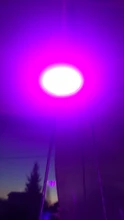 Growth-Light Flower Uv-Lamp Seedling Hydroponic Phyto Led Plant GU10 MR16 Full-Spectrum