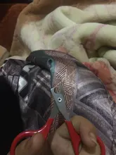 Claw-Care-Tools Dog-Scissors Pet-Products Nails Cat 