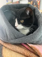 Dog-Bed House Nest Dog-Cushion Cat-Sleeping-Bag Soft Warm for High-Quality 10c15 Pet-Dog