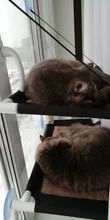 Bearing Hammock Cat Balcony Climbing Waterproof Sleeping-Mattress Cat-Bed-Cat Pet Fabric