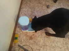 3.8L Pet Cat Automatic Feeders Large Capacity Cat Water Fountain Plastic Dog Water Bottle