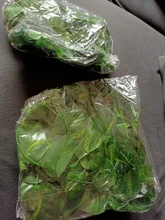 Decoración artificial de enredadera para jardín, colgante de plantas de decoración de hogar, enredaderas vívidas de hierbas, uvas, hojas artificiales, ideal para jardín y fiestas al aire libre, 10 estilos disponible, 1 unidad, B1015