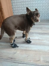 4 unidades/juego de zapatos de lluvia antideslizantes de Cachemira suave y cálida para mascotas, calzado suave a prueba de viento para perros y mascotas, zapatos impermeables antideslizantes
