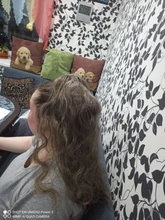 Coleta de colores degradados sintética para mujer, extensiones de cabello con Clip, estilo rizado ondulado, cola de poni, peinado azul y rosa