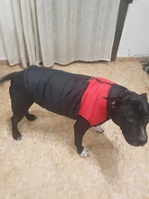 Coat Jacket Puppy-Vest Dogs Waterproof Winter Medium Pet-Dog Zipper Small Large Warm