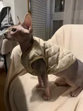 Ropa para perro Chihuahua, traje de gatito, chaqueta para perro, chaleco, ropa de invierno, abrigo de perrito mascota, ropa para perros pequeños y medianos