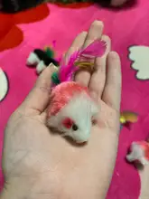 pawstrip Soft Fleece False Mouse Cat Toys Colorful Feather Funny Playing Toys For Cats