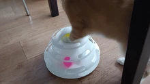 Ball Cat-Toys Play Cat Intelligence Tower-Tracks-Disc Training Amusement-Plate