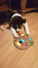 Toys Feeder Food-Intelligence-Toy Puppy Slow-Dispensing Dog-Puzzle Training-Games Interactive