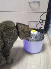 Drinking-Bowl Auto-Feeder Automatic Pet-Products-Supplies Water-Dispenser Water-Fountain