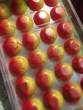 Pistola de PULVERIZACIÓN de 40CC, aerógrafo de alimentación por gravedad con doble acción, para pastel, tatuaje, pistola de pintura, aerógrafo, herramienta para uñas de 0,3mm, 20cc