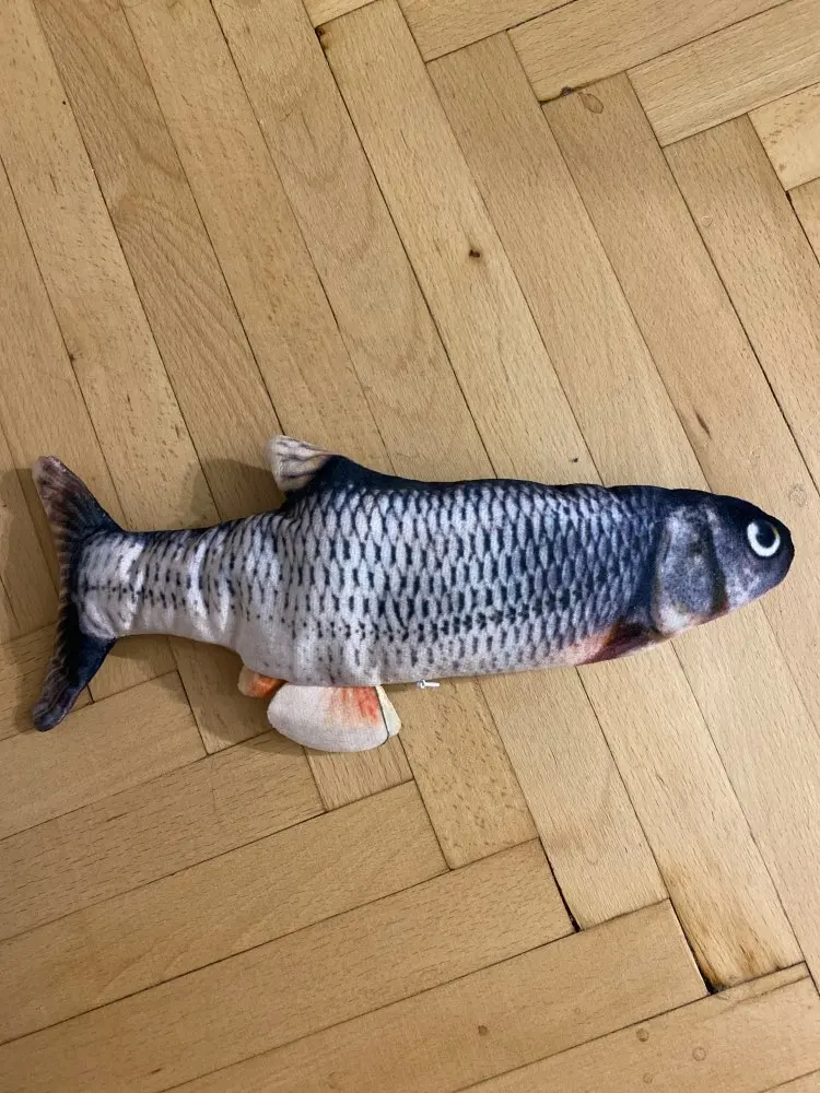 Jeux Poisson Pour Chat Cepy Shop Jeux Poisson Pour Chat Cepy Shop